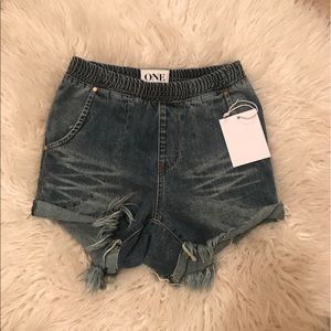 One Teaspoon Hunter shorts